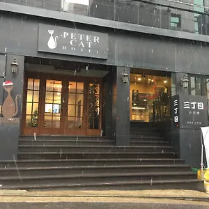 *** Hotel Petercat Shinchon South Korea